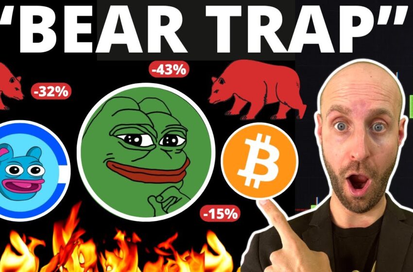  🔥The ONLY Crypto Altcoins I Have Confidence in During This Dip!? (AVOID THESE HUGE MISTAKES!!!)