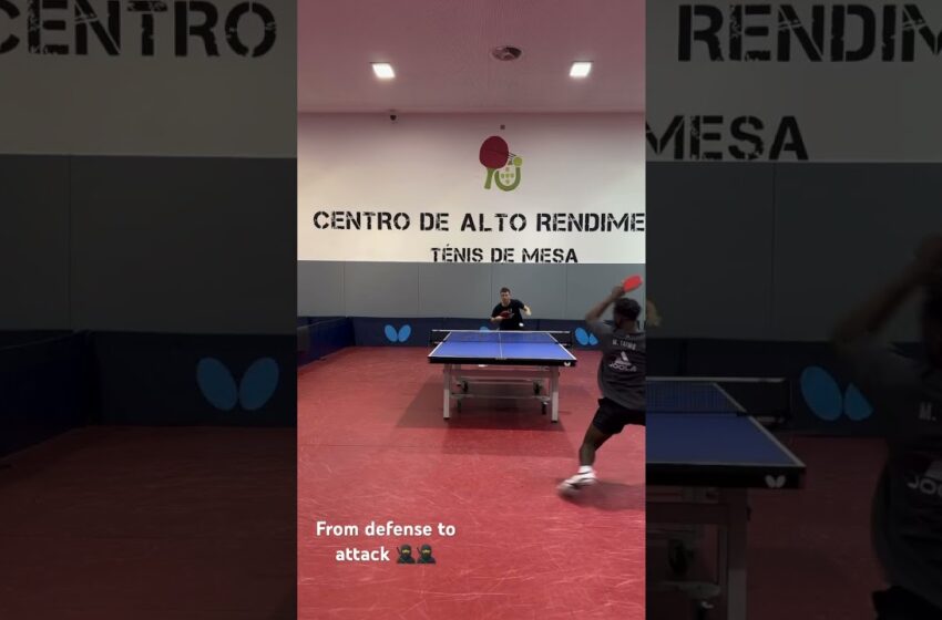  #creator #sport  #youtubeshorts #europe #tabletennis #africa #health #christmas #views #subscribe