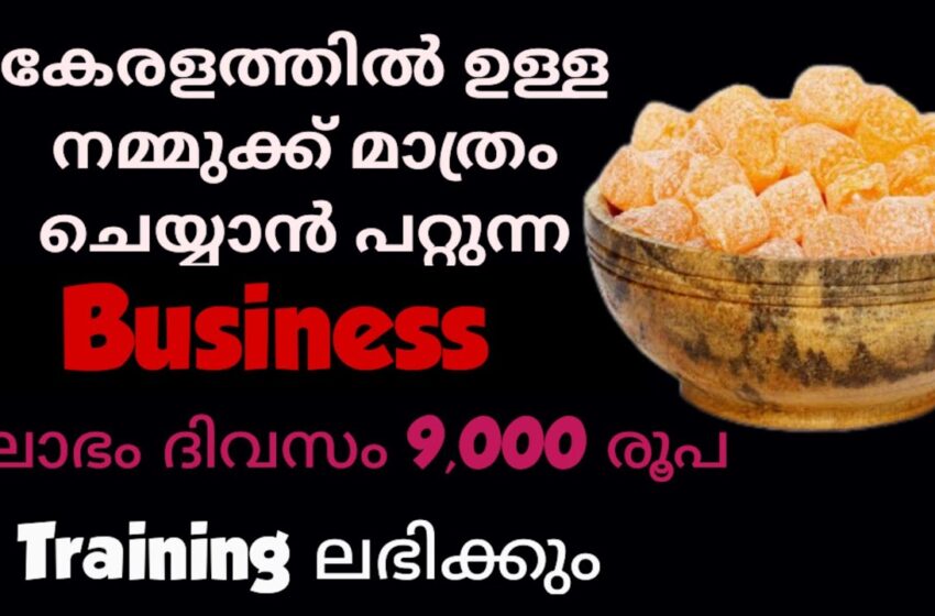  ഇത് ഒരു സാദാരണ Business അല്ല.. അടിപൊളി Business ആണ്.. Business ideas Malayalam