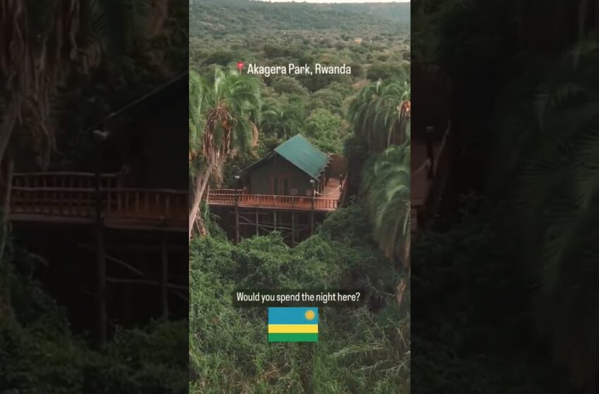  Rwanda  to the world 🌎 #travel #africa #vlog