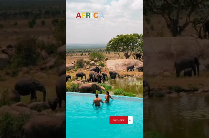  Reason why you should visit Africa