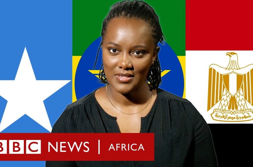  Why did Egypt-Somali alliance spark an alarm in Ethiopia? BBC Africa