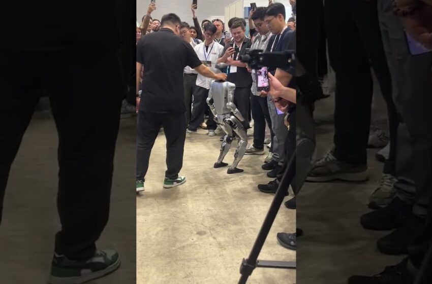  new $16K USD Unitree Humanoid AI Robot #robotics #ai